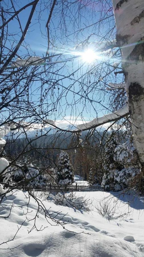 Jasmin Διαμέρισμα Bukowina Tatrzańska Εξωτερικό φωτογραφία